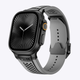 Gray-Black Buckle