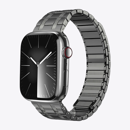 Frosted Stainless Steel Magnetic Band for Apple Watch