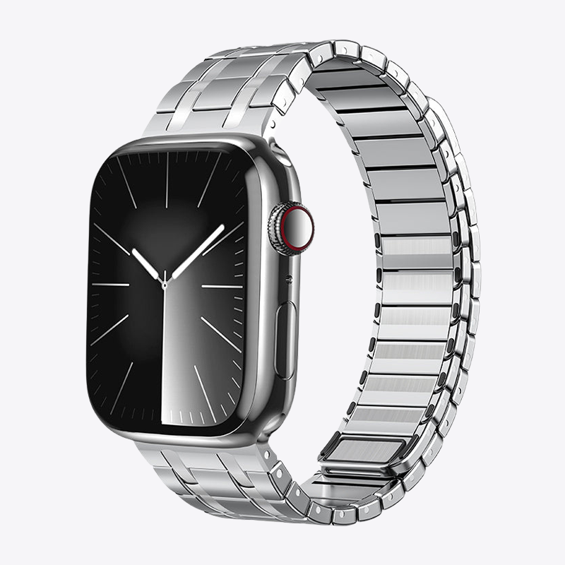 Frosted Stainless Steel Magnetic Band for Apple Watch
