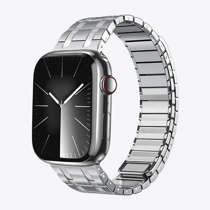 Frosted Stainless Steel Magnetic Band for Apple Watch