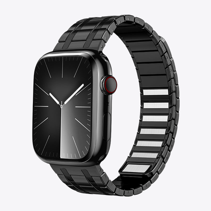 Frosted Stainless Steel Magnetic Band for Apple Watch